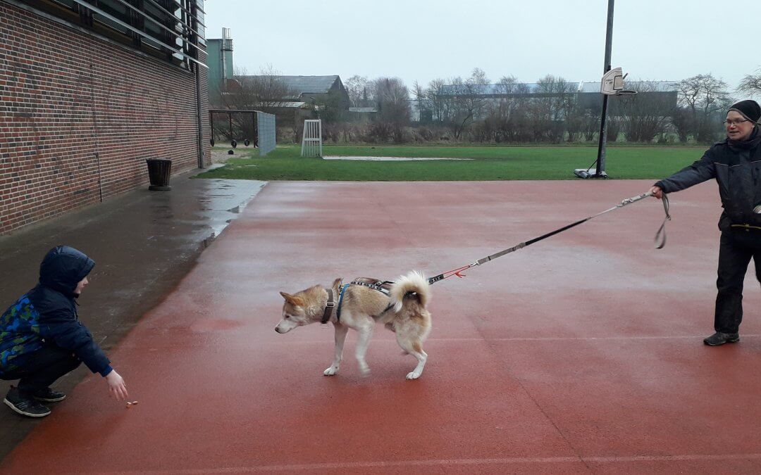 Besuch der Hundetrainerin