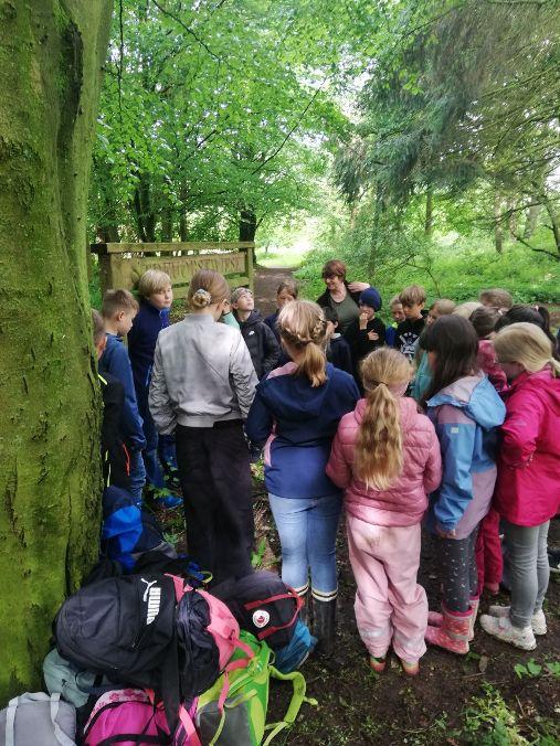 Raus in die Natur – Bewusstsein schaffen